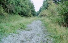 Trackbed of the old railway line (AJM1 @ approx 151mp) near Haddon Tunnel. 1989