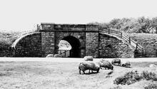 Whitacre to Hampton in Arden Line (WHA). Underbridge (cattle creep)