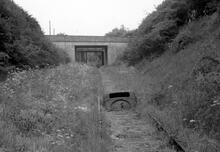 Whitacre to Hampton-in-Arden line, near the South end (WHA @ approx 5½mp). 4 June  1961