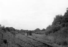 Trentham Gardens station (TRP @ 1m 14ch). 16 July 1960.