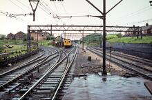 Guide Bridge (HAJ @ 4m 76 ch). 23 May 1981