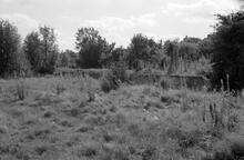 012183  Great Central Railway. Charwelton station (MCJ3 @ 134m 39ch). Remains of cattle dock.  September 1975