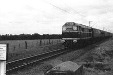 Brush Type 2 Diesel Locomotive near Frinton-on-Sea (ELR - TWN @ 68m 66ch). 1959 (Ref: 221353)