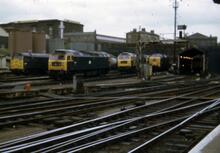 BR diesel locos at KC engine shed Kings Cross 3 July 1975