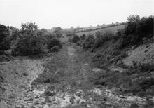The site of Grindley station (SUX @ 2m 63ch), looking West. 3 June 1961
