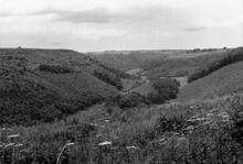 Newton Dale, looking north (RLG @ approx. 15mp). 06 July 1972. 
