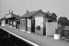 Ravenscar Station. Up side platform buildings (SCW @ 10m 01ch). 31 August 1955