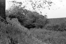 Campbeltown and Macrihanish Light Railway -Track bed (Ref: 031490)