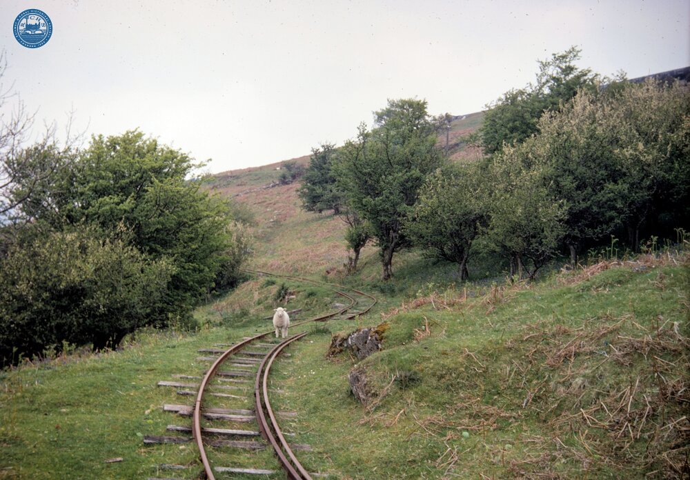 Llyn Cowlyd Tramway. Above the Conwy valley. 24 May 1968