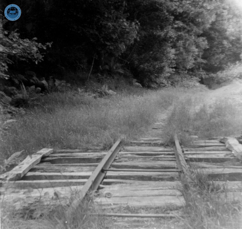 Talyllyn Railway extension beyond Abergynolwyn, looking back from near the winding house. 31 May 1959