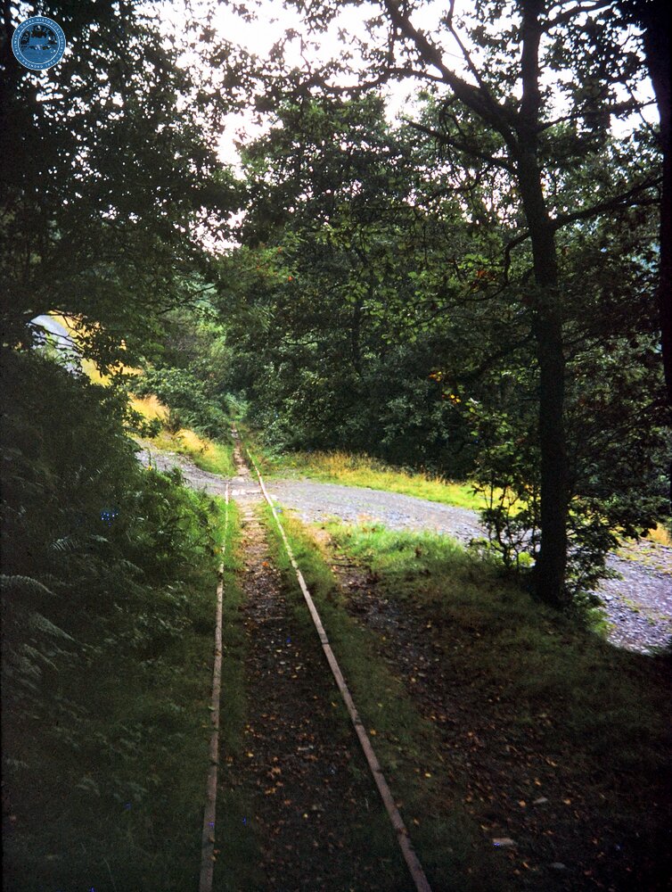 Talyllyn railway extension, north of Abergynolwyn at a level crossing with a forestry road, looking south. 16 September 1969