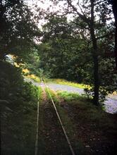 Talyllyn railway extension, north of Abergynolwyn at a level crossing with a forestry road, looking south. 16 September 1969