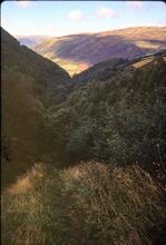Abergynolwyn. Looking down Cantrybedd Incline. 25 September 1978