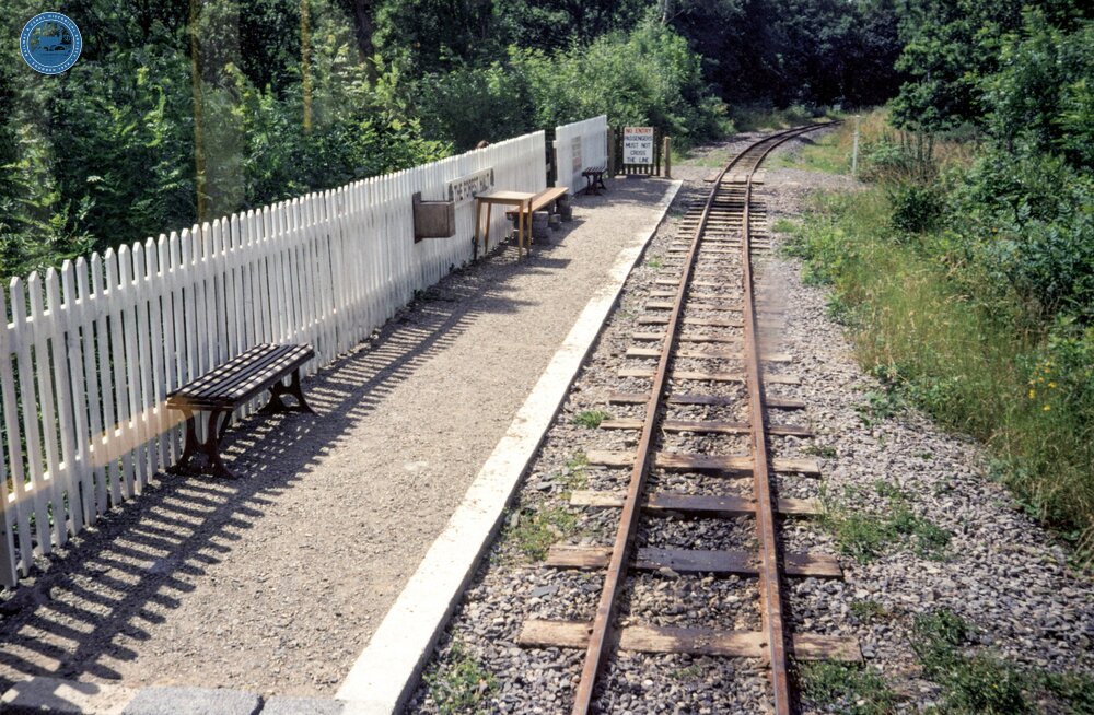 The Forest halt, from the train. 25 July 1987