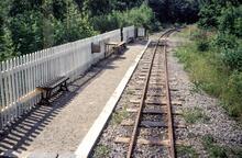 The Forest halt, from the train. 25 July 1987