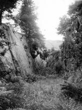 Cutting on NWNGR north of Beddgelert  (Ref 061932E)