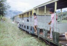 017820E Fiji free train stop  between Sigatoka and Lauoka. 3 November 1973