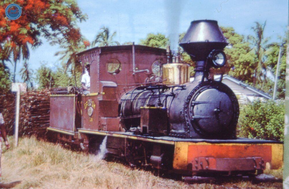 017822E SPSM steam engine Lautoka no 25  0--6-0 hauling sugar cane