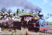 017823E SPSM steam engine Lautoka no 251 0--6-0  hauling sugar cane