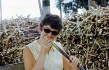 017826E Fiji eatng cane,  Free train 3 November 1973