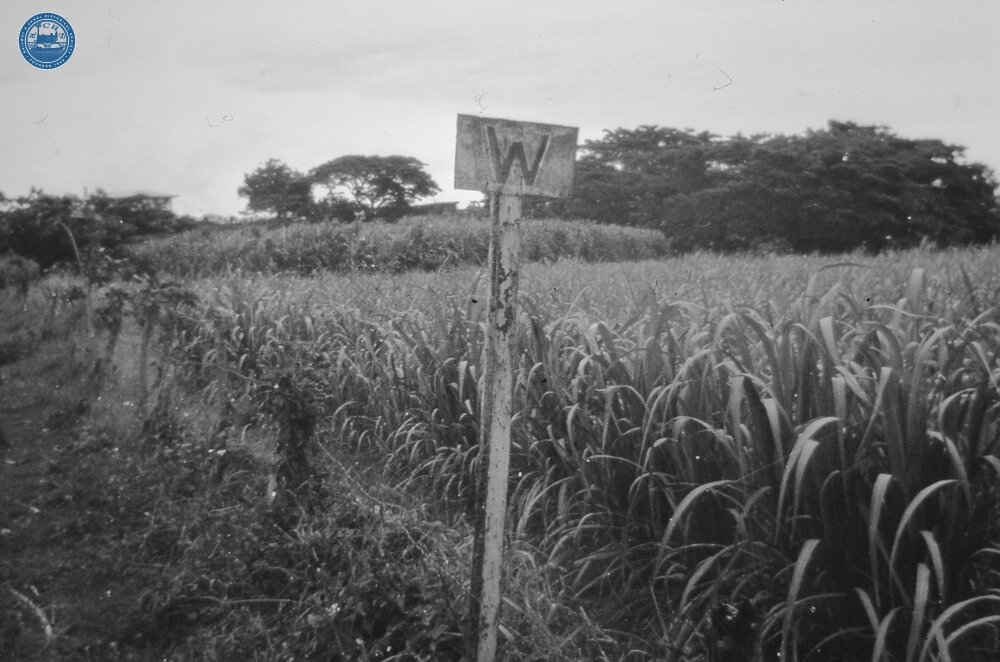 017835E Whistle sign - taken from free train 3 Novenber 1973