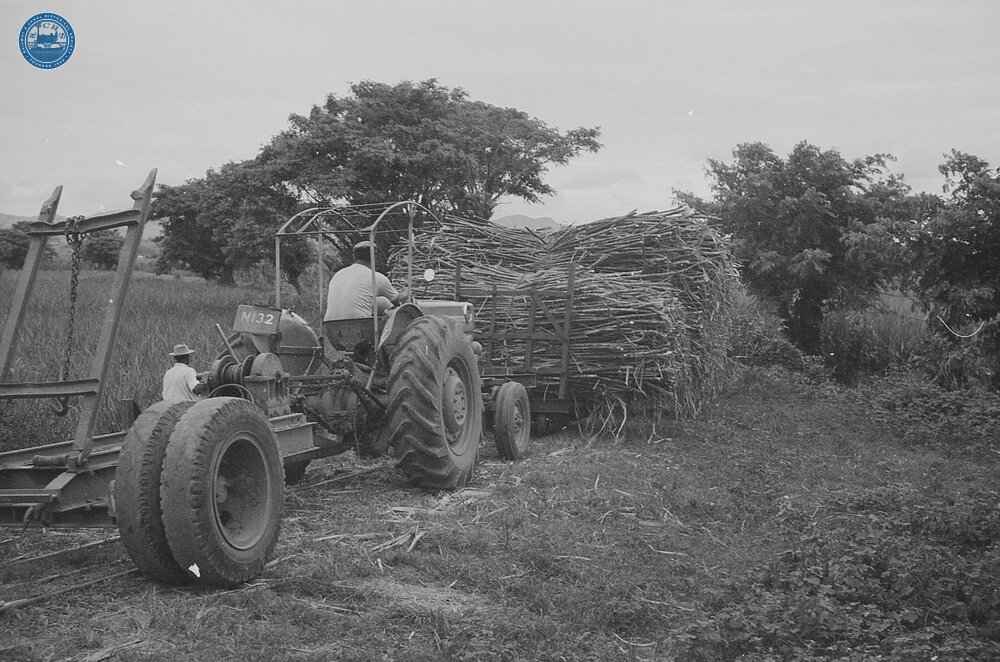017838E Tractor pushng cane trucks. Between Nadi and Lautoka. 3 November 1973