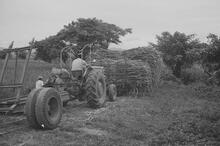 017838E Tractor pushng cane trucks. Between Nadi and Lautoka. 3 November 1973