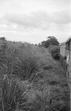 017839E Wagon on line. Between Nadi and Lautoka. 3 November 1973