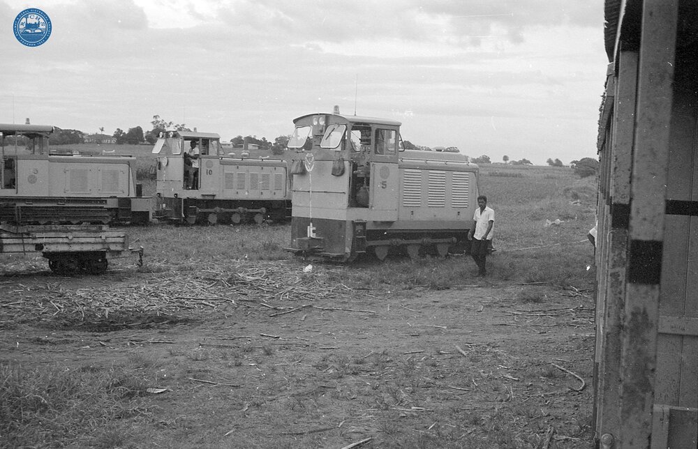 017840E Diesels in cane fields Taken from Free Train. Between Nadi and Lautoka. 3 November 1973