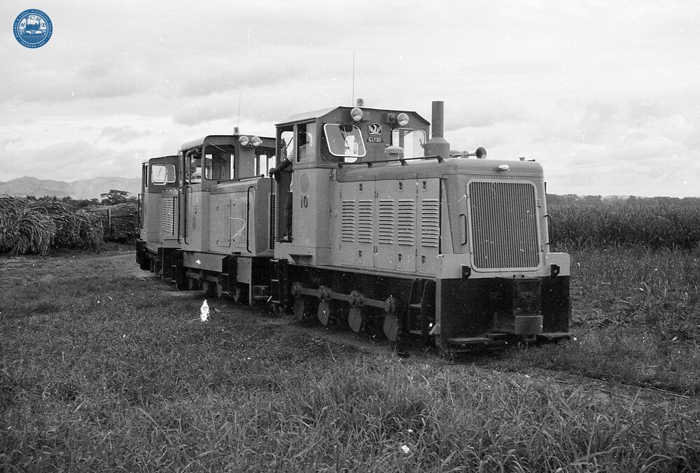 017842E Clyde diesels in the cane fields. Taken from Free Train. Between Nadi and Lautoka. 3 November 1973