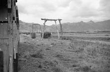 17843E Wagon hoists. Taken from Free Train. Between Nadi and Lautoka. 3 November 1973