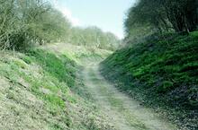 Trackbed near Winslade (BAA @ approx 53¼mp). 02 April 2004 (Ref: 221053)