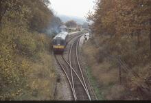 South of Harmans Cross (AGE @ 133m 27ch). BR class 117 DMU. 08 November 2003