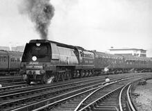 35016 Merchant Navy 4-6-2 "Elders Fyffes" (Ref: 010206)