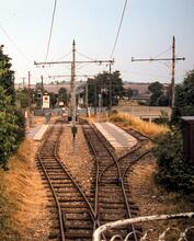 Colyford Station from Tram No. 6. 23 July 1984